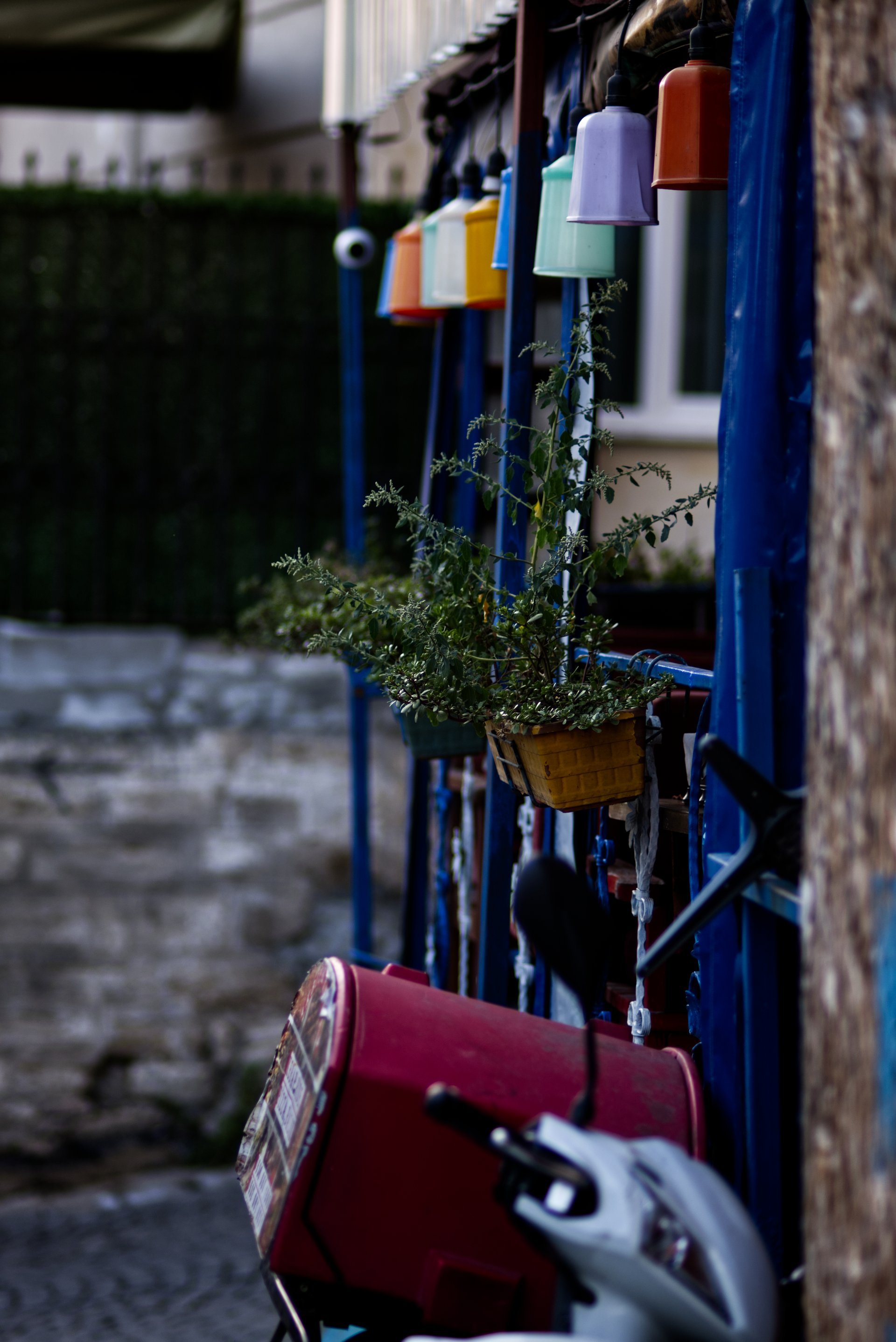 Blue Mosque at sunset