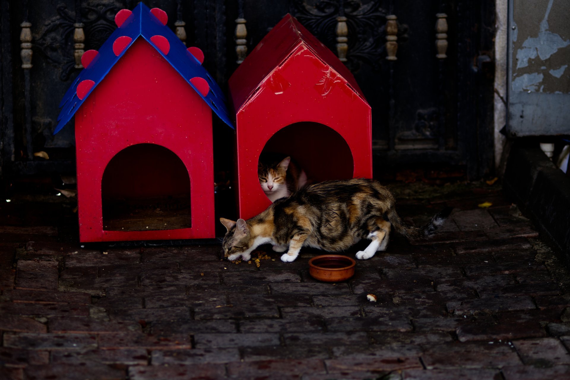 Ferry passengers crossing the Bosphorus